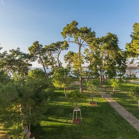 Apartment Hannah Novigrad Istria Εξωτερικό φωτογραφία