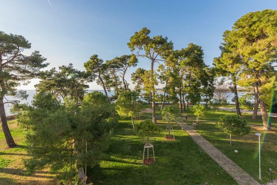 Apartment Hannah Novigrad Istria Εξωτερικό φωτογραφία